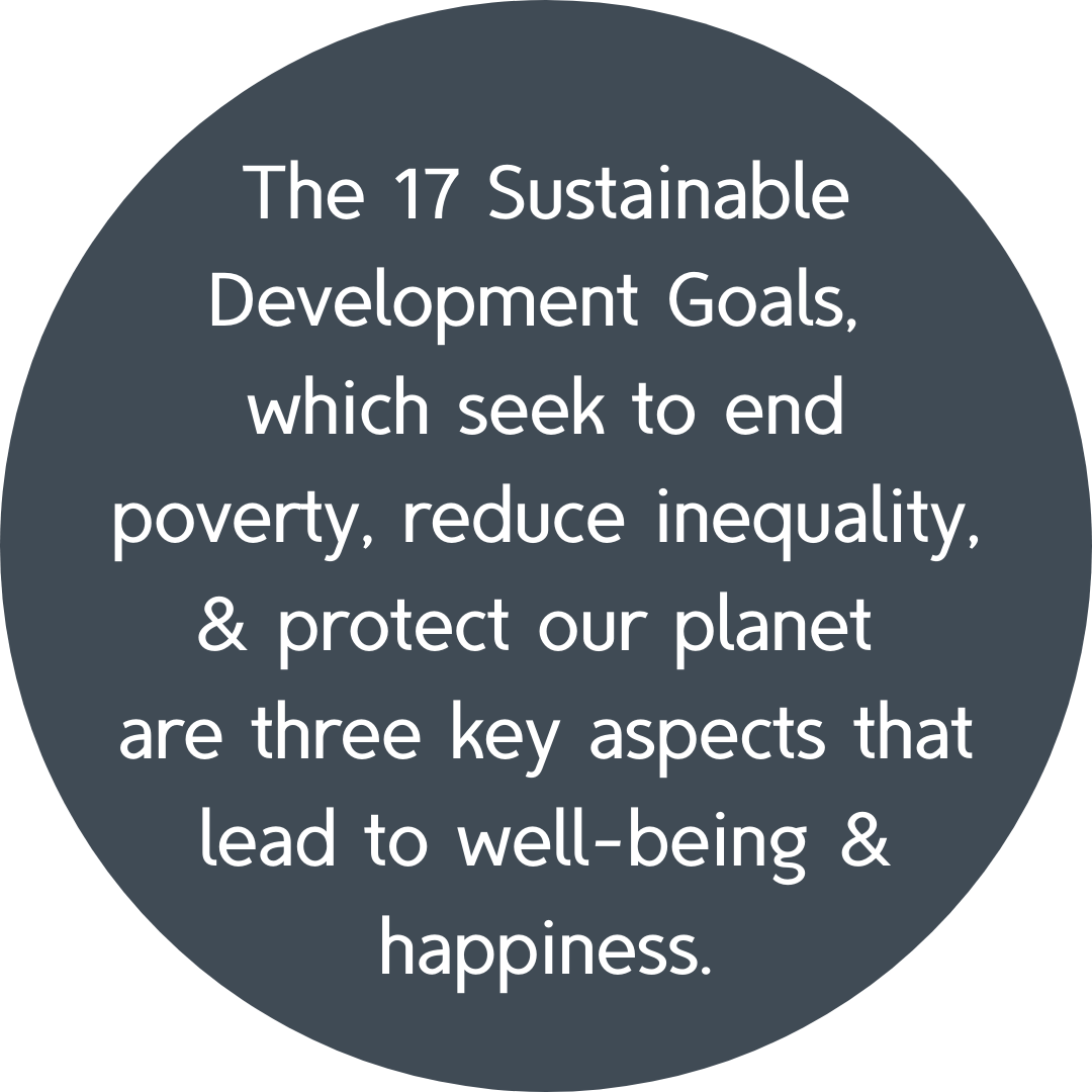 17 sustainable development goals