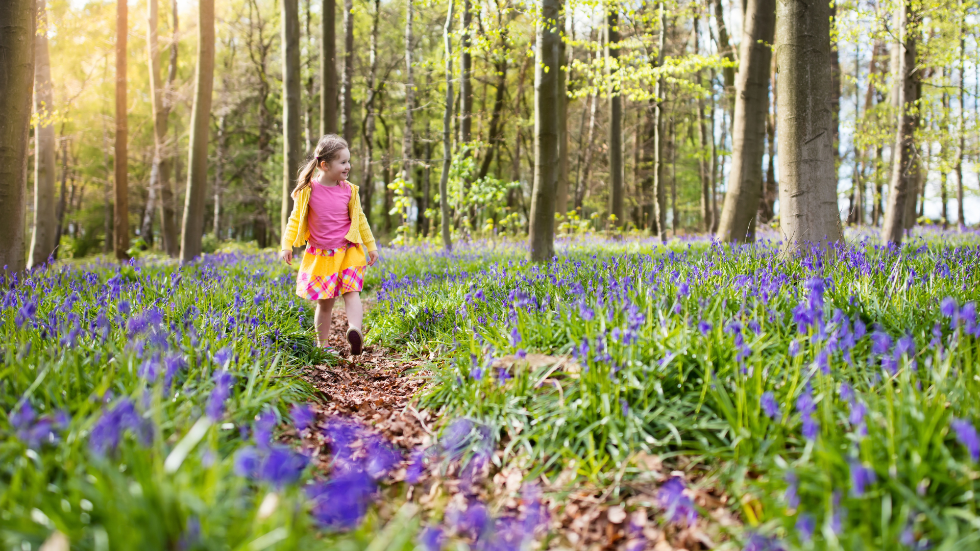 girl walking through flowers in forest