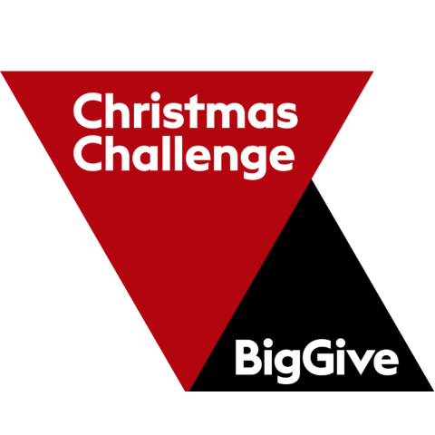 Big give logo